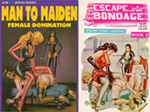 Eric Stanton and Man to Maiden Artwork the same?